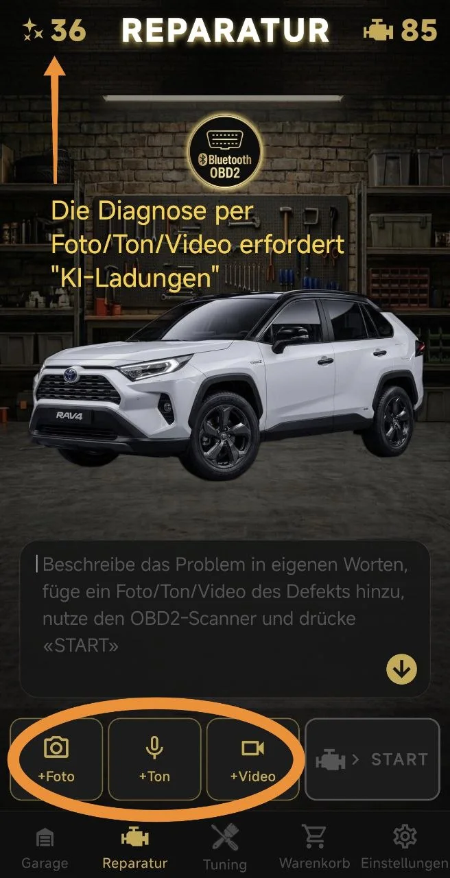 Die Diagnose per Foto/Ton/Video erfordert "KI-Ladungen"