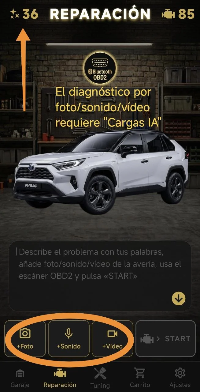 El diagnóstico por foto/sonido/vídeo requiere "Cargas IA"