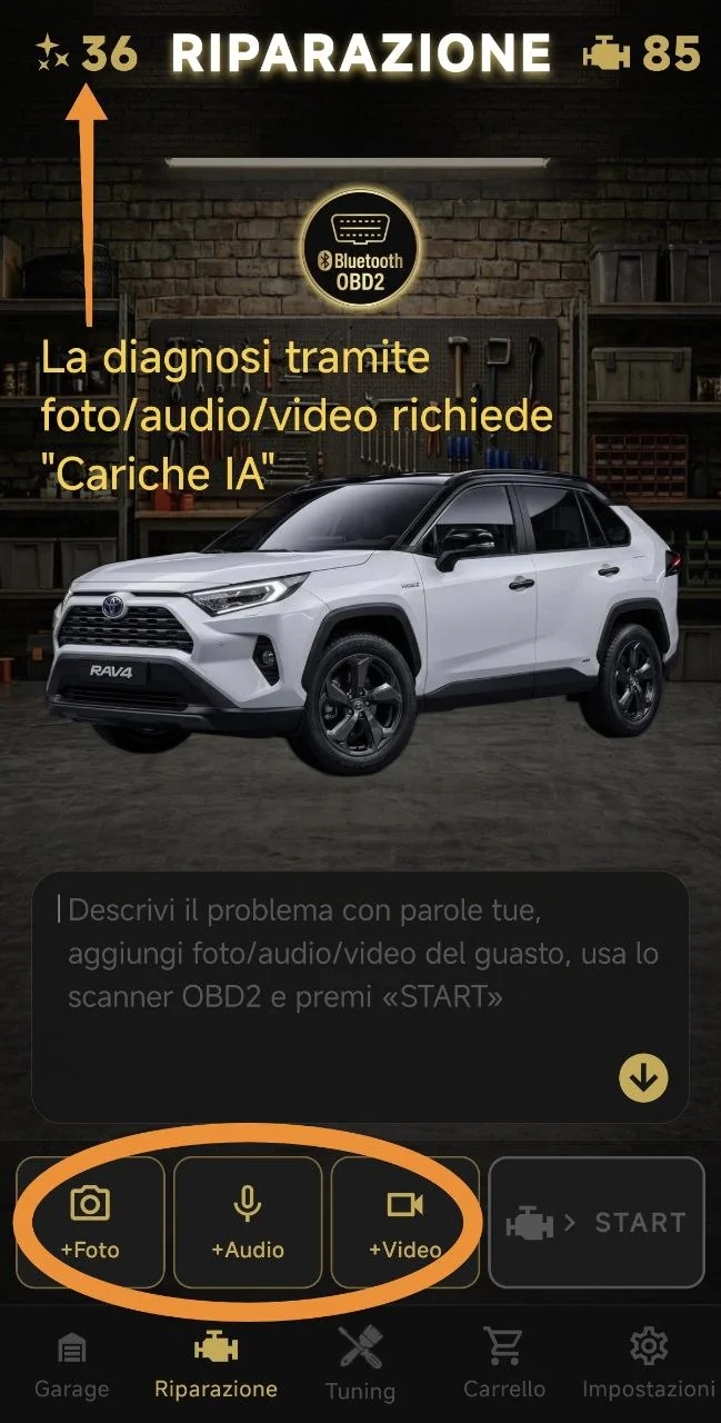 La diagnosi tramite foto/audio/video richiede "Cariche IA"